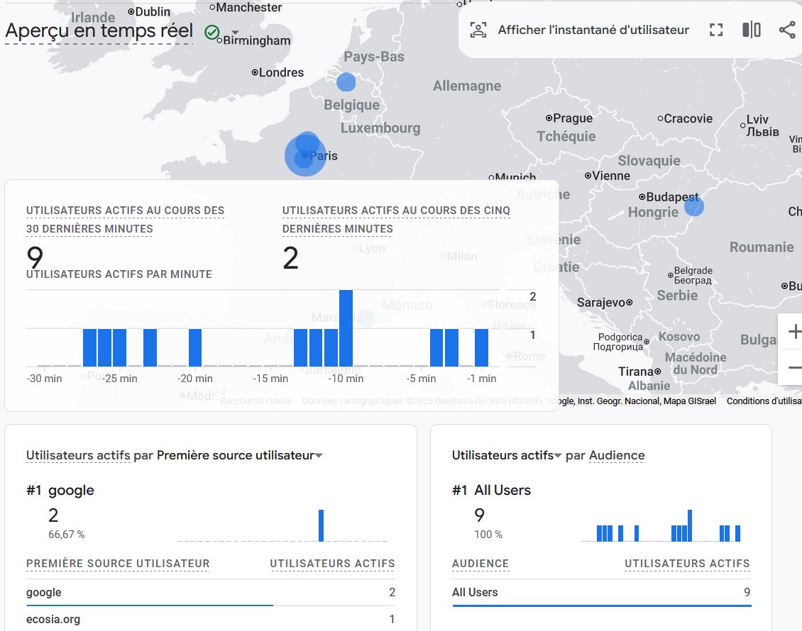 Aperçu temps réel Google-analytics